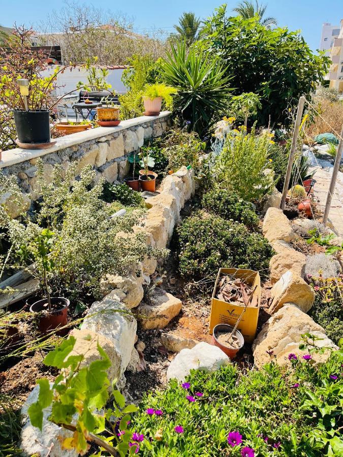 Peaceful Townhouse With Private Pool Near The Sea Apartment Paphos Luaran gambar